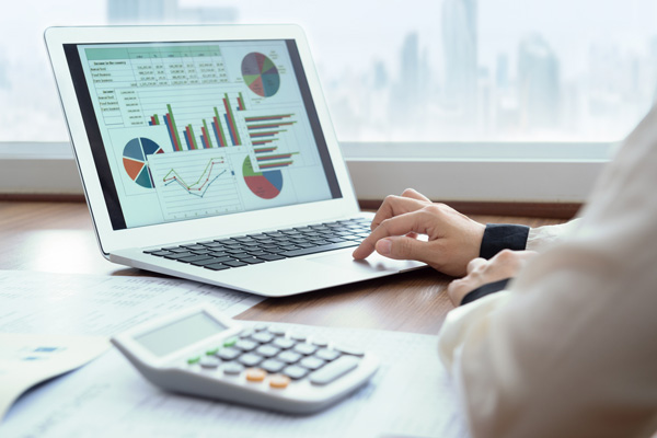 accounting graphs on a computer with accountant